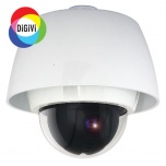CNSW-CH-Z10 DNR